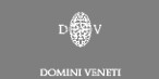 Domini Veneti