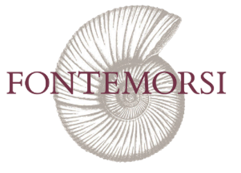 Fontemorsi