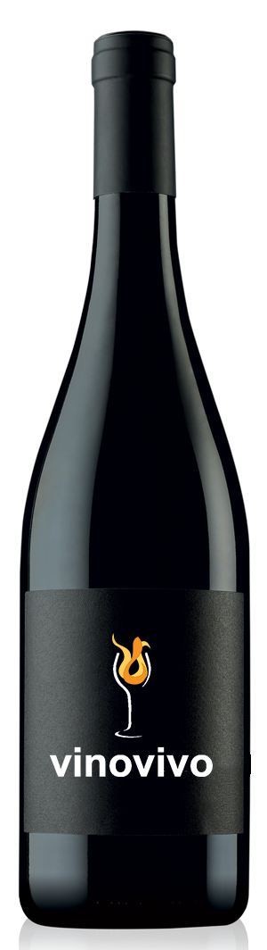 VINOVIVO CATALOGUE - 2026 2ME SEMESTRE